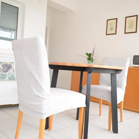 Estudio-gambelas Faro