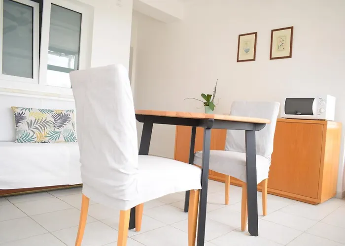 Estudio-gambelas 法鲁区